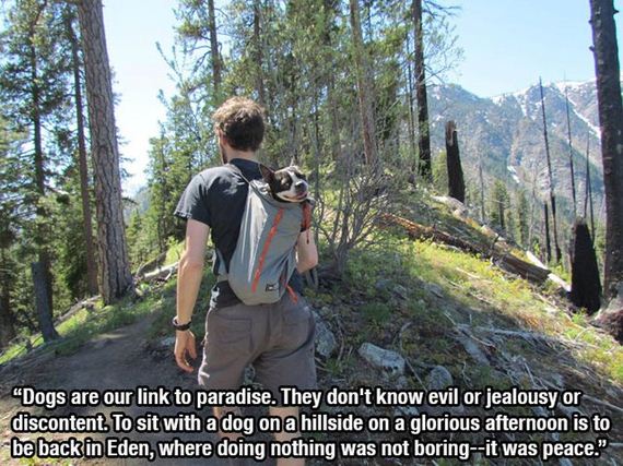dog_quotes