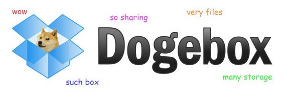 doge_01