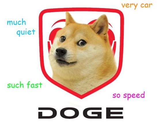 doge_01