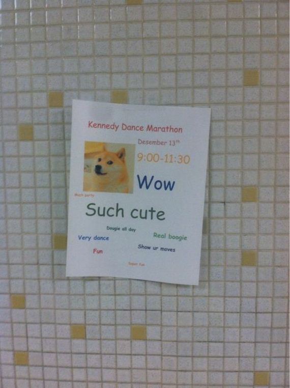 doge_01