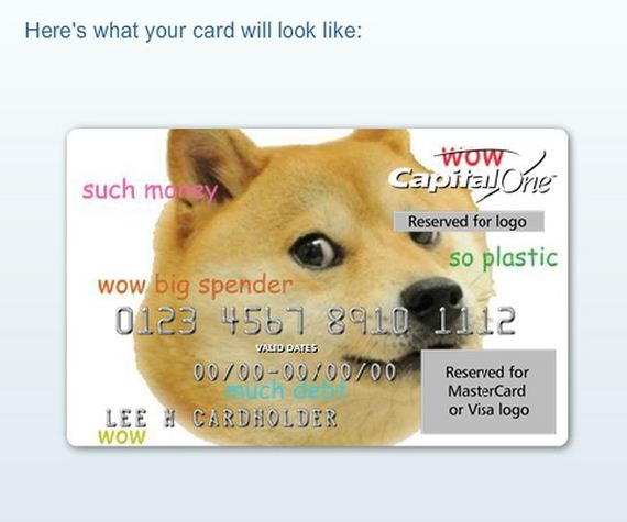 doge_01