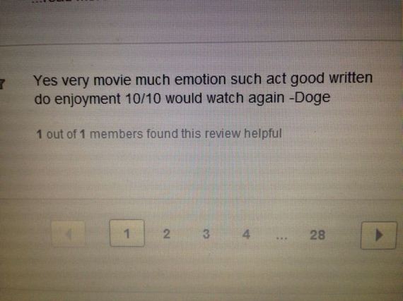 doge_01
