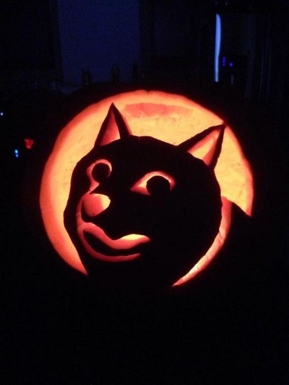 doge_01