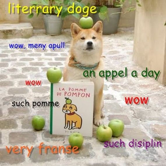 doge_01