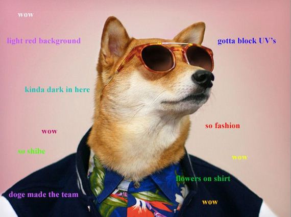 doge_01