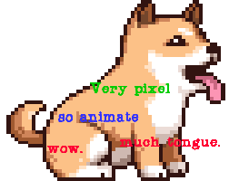 doge_01