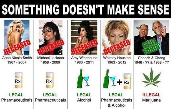 dose_of_truth