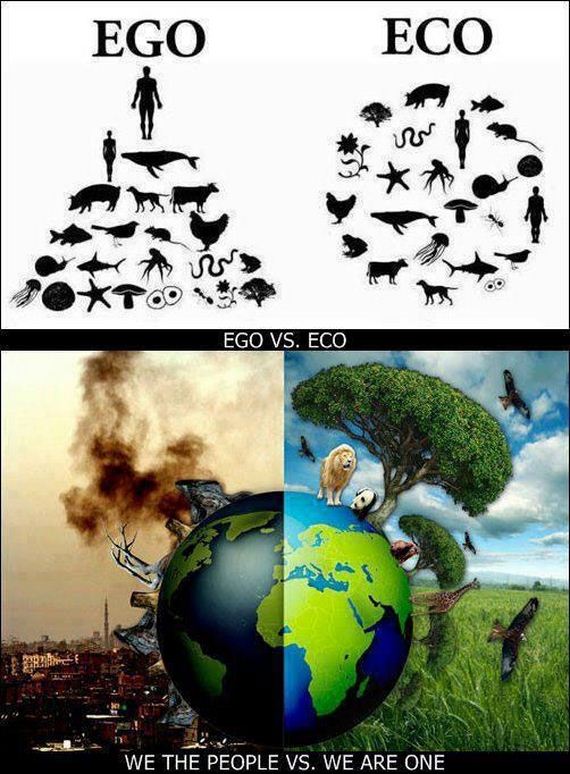 dose_of_truth