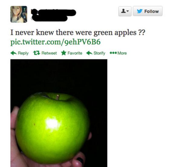 dumb-twitter-questions