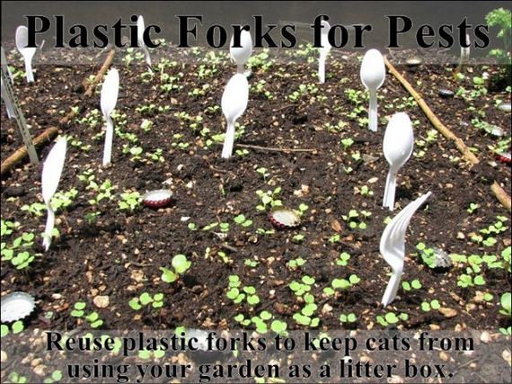 easy_hacks_to_make_gardening_a_breeze