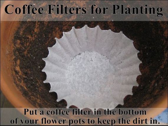 easy_hacks_to_make_gardening_a_breeze