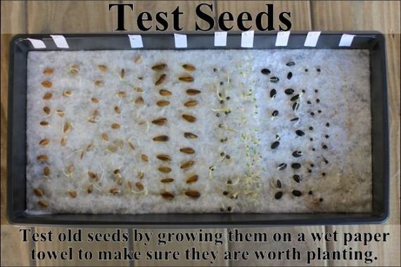 easy_hacks_to_make_gardening_a_breeze