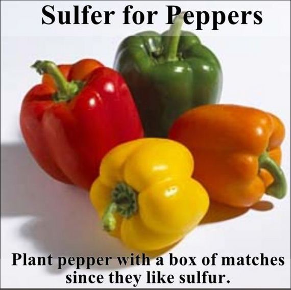 easy_hacks_to_make_gardening_a_breeze