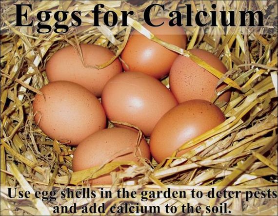 easy_hacks_to_make_gardening_a_breeze