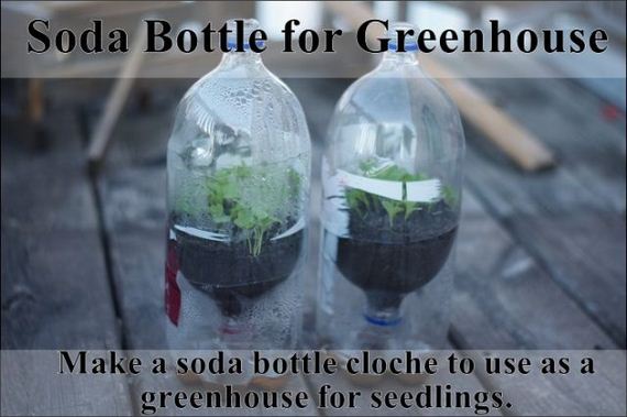 easy_hacks_to_make_gardening_a_breeze