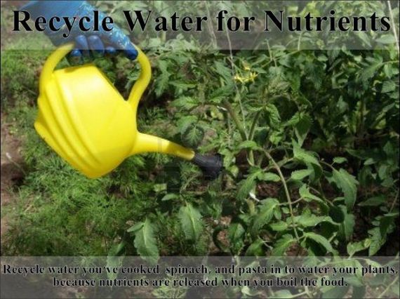 easy_hacks_to_make_gardening_a_breeze