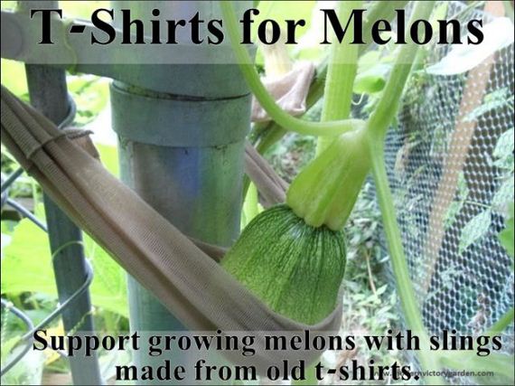 easy_hacks_to_make_gardening_a_breeze