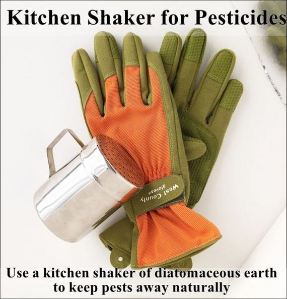 easy_hacks_to_make_gardening_a_breeze