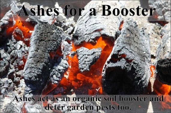easy_hacks_to_make_gardening_a_breeze