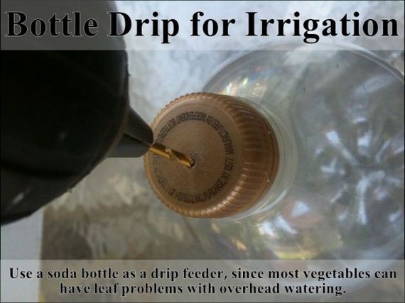 easy_hacks_to_make_gardening_a_breeze