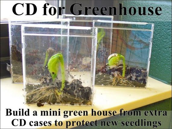 easy_hacks_to_make_gardening_a_breeze