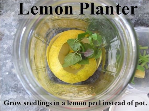 easy_hacks_to_make_gardening_a_breeze