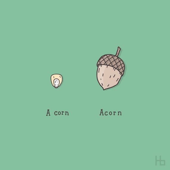 extremely-clever