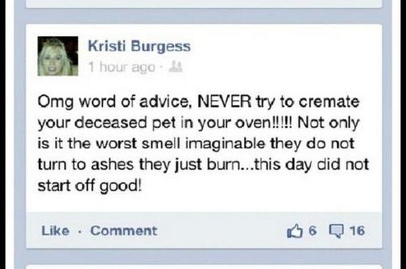 facebook_wins_and_fails