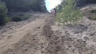 facepalm_moments-3