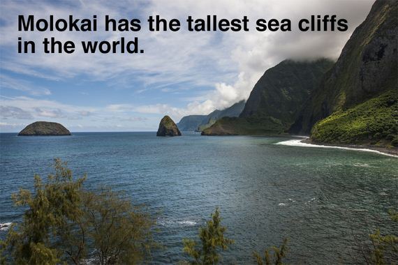 facts-you-might-hawaii