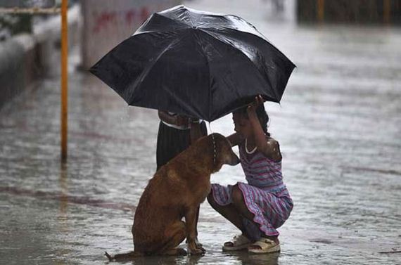 faith_in_humanity_05