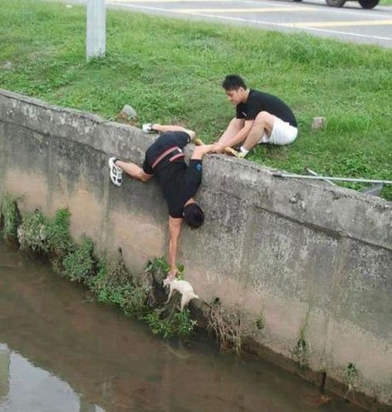 faith_in_humanity_05