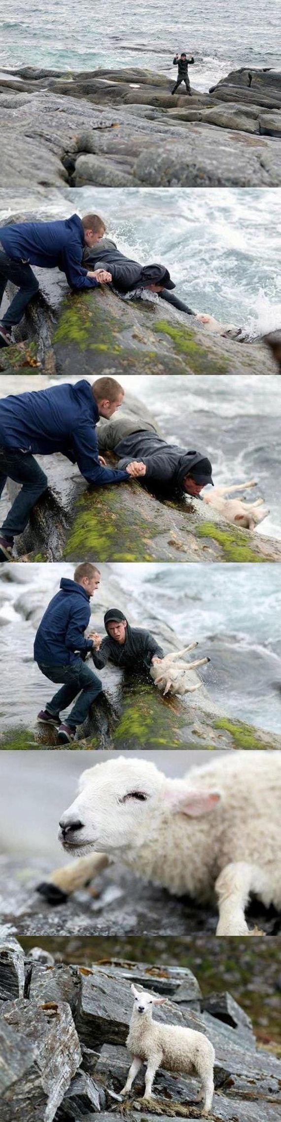 faith_in_humanity_05