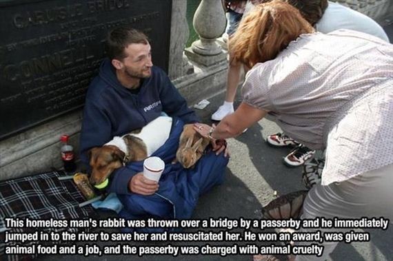 faith_in_humanity_animals