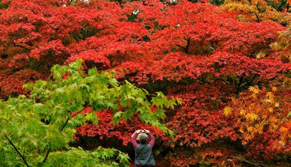fall_is_in_the_air
