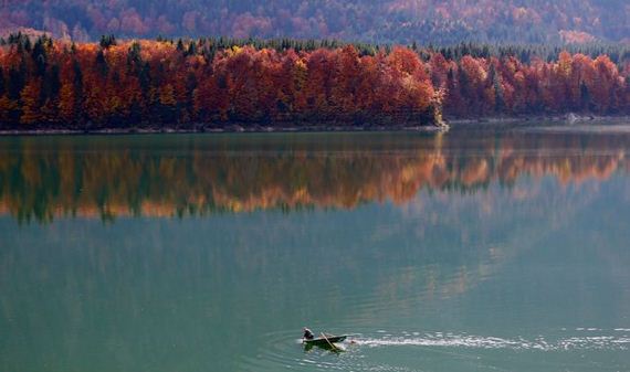 fall_is_in_the_air