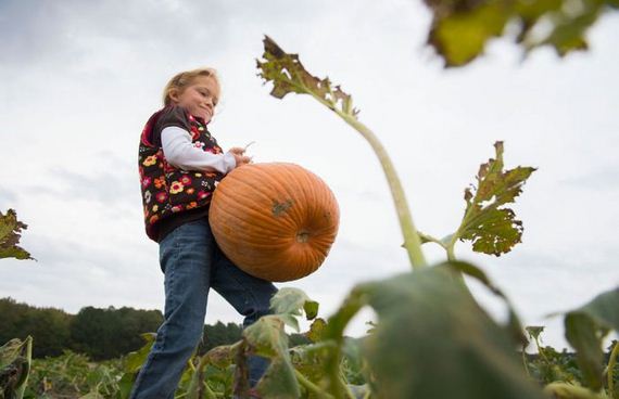 fall_is_in_the_air