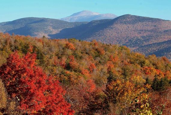fall_is_in_the_air