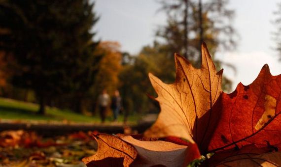 fall_is_in_the_air