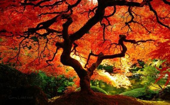 fall_time