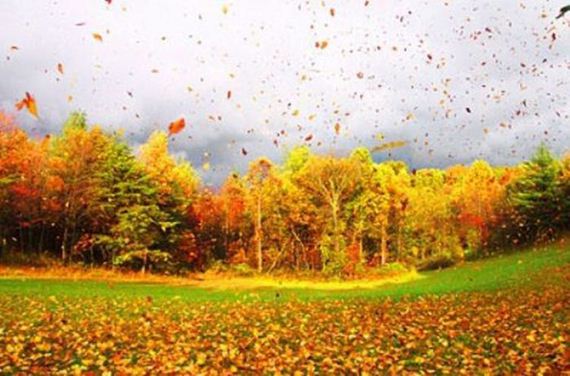 fall_time