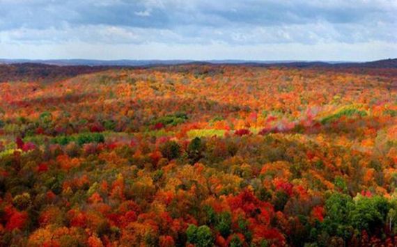 fall_time