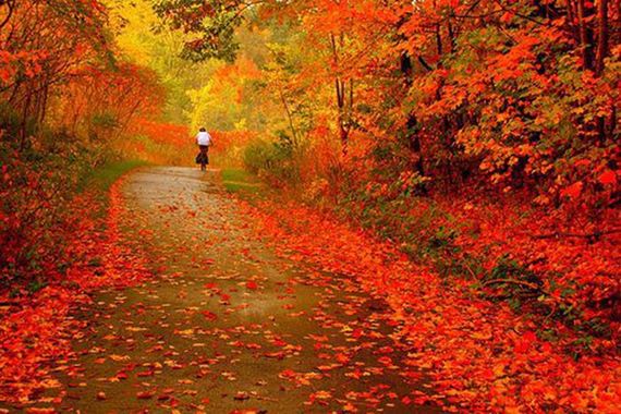 fall_time