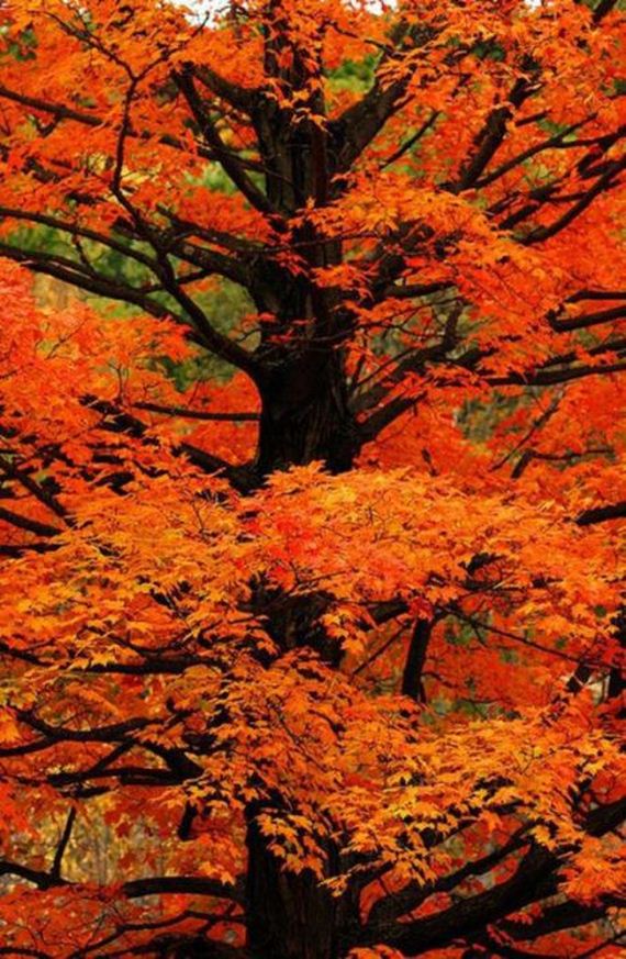 fall_time