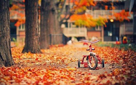 fall_time