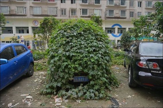 forgotten_car