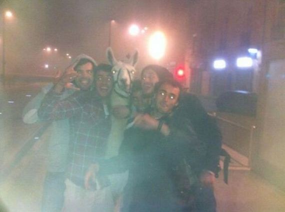 french_teens_take_circus_lama_out_for_a_night_on_the_town