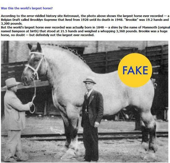 fun_fact_photos_that_are_total_lies2