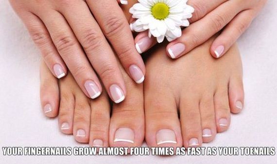 fun_facts2