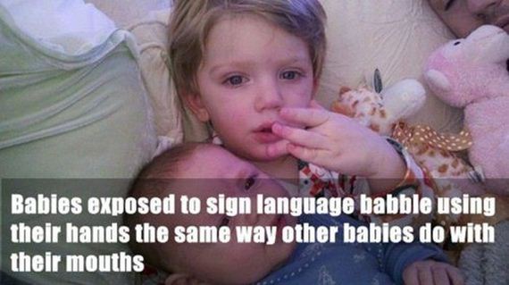 fun_facts2